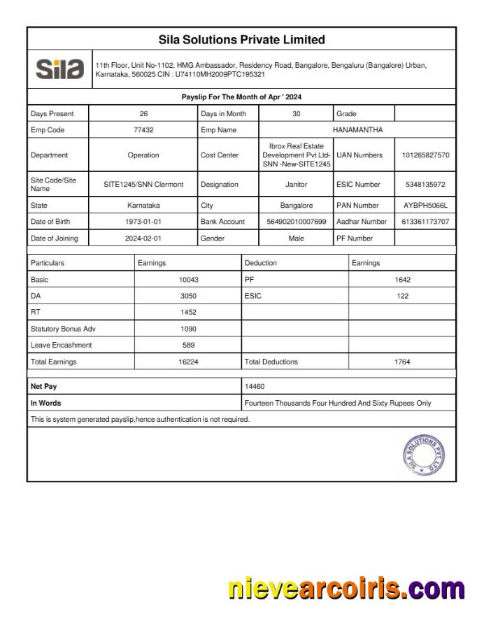 Sila Solutions payslip